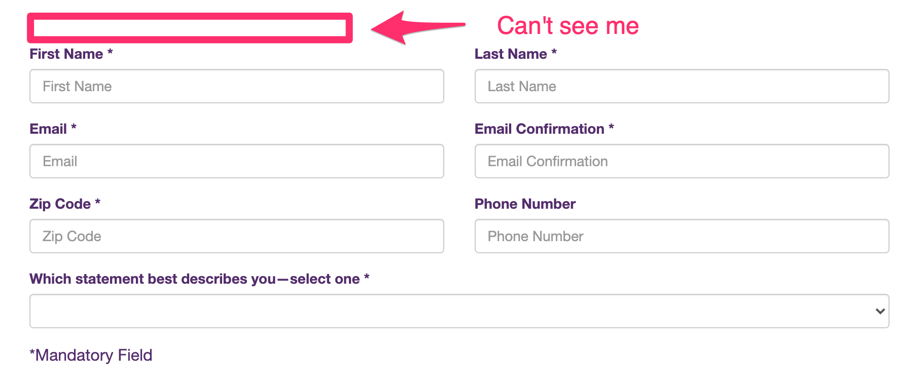 Honeypot hidden input field on one of the registration forms